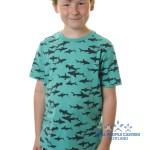 ED COWDRY